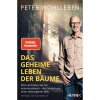 Buch: Das geheime Leben der Bäume, Peter Wohlleben, 2019, Heyne Taschenbuch